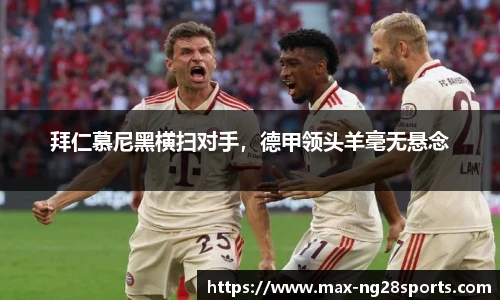ng体育