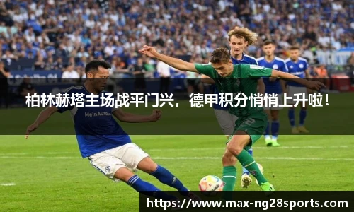 ng体育