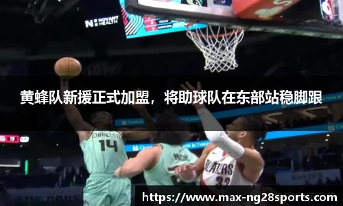 ng体育官网