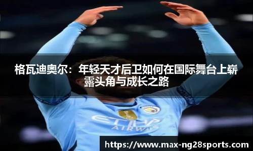 ng体育