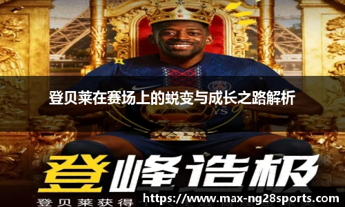 ng体育官方网站